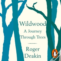 Capa do artigo Wildwood