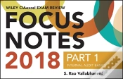 Capa do artigo Wiley Ciaexcel Exam Review 2018 Focus Notes, Part 1