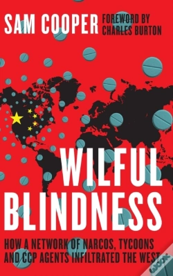 Capa do artigo Wilful Blindness