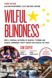Capa do artigo Wilful Blindness