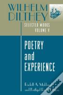 Wilhelm Dilthey: Selected Works, Volume V