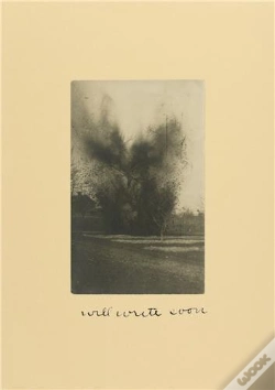 Capa do artigo Will Write Soon /Anglais