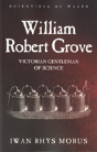 William Robert Grove - Preview