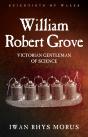 William Robert Grove - Preview