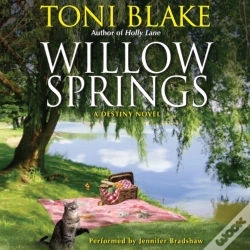 Capa do artigo Willow Springs