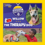 Willow The Therapy Dog - Preview