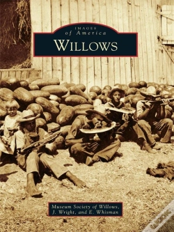 Capa do artigo Willows