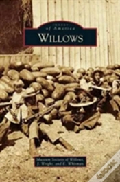 Capa do artigo Willows