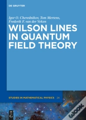 Wilson Lines In Quantum Field Theory