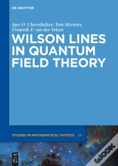 Wilson Lines In Quantum Field Theory