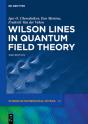 Wilson Lines In Quantum Field Theory - Preview