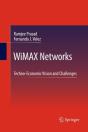 Wimax Networks - Preview