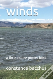 Capa do artigo Wind