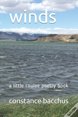 Capa do artigo Wind
