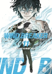 Capa do artigo Wind Breaker 11