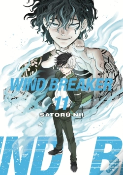 Capa do artigo Wind Breaker 11