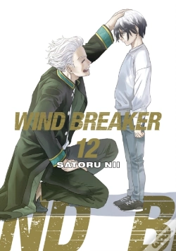 Capa do artigo Wind Breaker 12