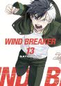Wind Breaker 13 - Preview