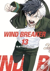 Capa do artigo Wind Breaker 13