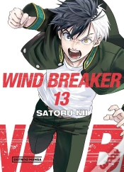 Capa do artigo Wind Breaker 13