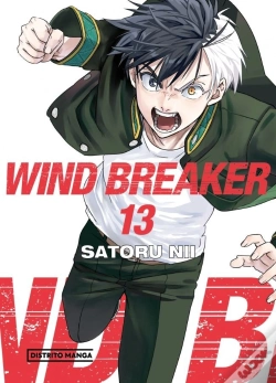 Capa do artigo Wind Breaker 13