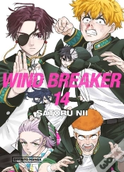 Capa do artigo Wind Breaker 14