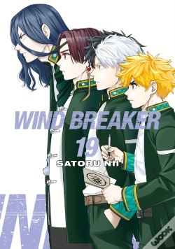 Capa do artigo Wind Breaker 19