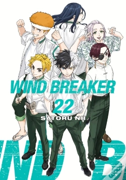Capa do artigo Wind Breaker 22