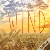 Capa do artigo Wind