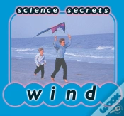 Capa do artigo Wind