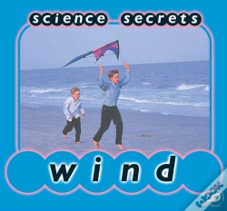 Capa do artigo Wind