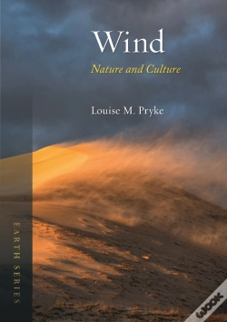 Capa do artigo Wind