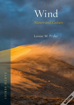 Capa do artigo Wind