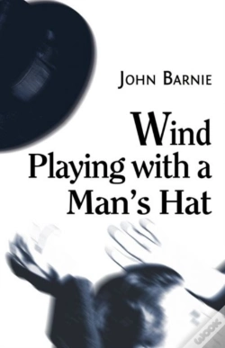 Capa do artigo Wind Playing With A Man'S Hat