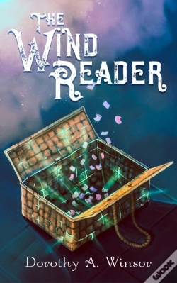Capa do artigo Wind Reader
