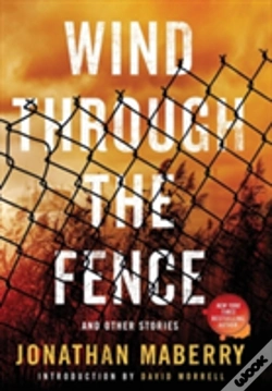 Capa do artigo Wind Through The Fence