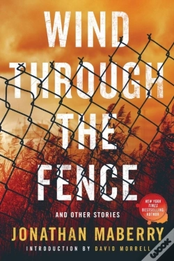 Capa do artigo Wind Through The Fence