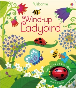 Capa do artigo Wind-Up Ladybird