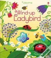 Capa do artigo Wind-Up Ladybird