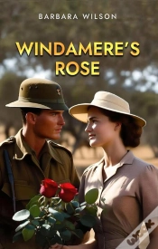 Capa do artigo Windamere