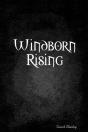 Windborn Rising - Preview