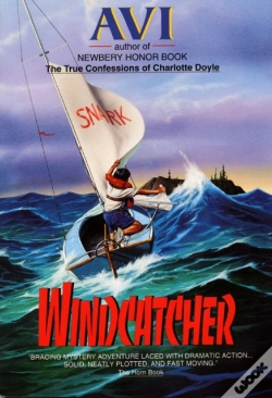 Capa do artigo Windcatcher