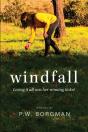 Windfall - Preview