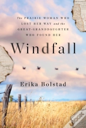Capa do artigo Windfall