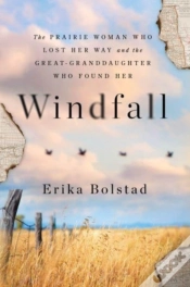 Capa do artigo Windfall
