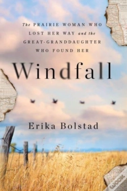 Capa do artigo Windfall
