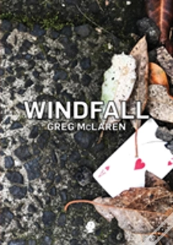 Capa do artigo Windfall