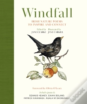 Capa do artigo Windfall