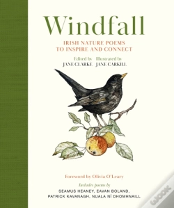 Capa do artigo Windfall
