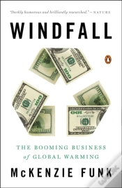 Capa do artigo Windfall